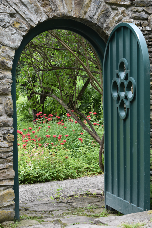 ©Faeriessance, Shivokevich