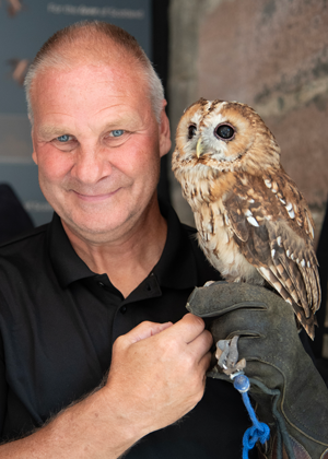 ©Faeriessance/Shivokevich, 2018