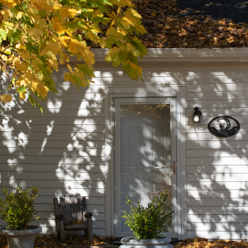 ©Faeriessance, Shivokevich